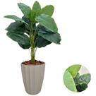 Planta Artificial Bananeira Com Vaso Facetado Completo Casa