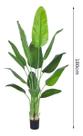 Planta Artificial Bananeira Realista Para Decoração Sala Com 1.80m, Plantas Artificiais Realista para Decoração de Casa.