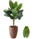 Planta Artificial Bananeira + Vaso Polietileno Completo Planta Artificial Bananeira + Vaso Polietileno Completo