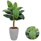 Planta Artificial Bananeira + Vaso Polietileno Completo Planta Artificial Bananeira + Vaso Polietileno Completo