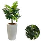 Planta Artificial Bananinha Com Vaso Cone Polietileno Casa