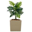 Planta Artificial Bananinha Com Vaso Polietileno Quadrado Planta Artificial Bananinha Com Vaso Polietileno Quadrado