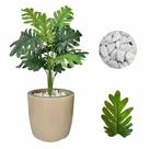 Planta Artificial Bananinha Vaso Liso Cores Pedras Branca Planta Artificial Bananinha Vaso Liso Cores Pedras Branca
