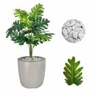 Planta Artificial Bananinha Vaso Liso Cores Pedras Branca Planta Artificial Bananinha Vaso Liso Cores Pedras Branca