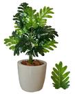 Planta Artificial Bananinha + Vaso Polietileno Cores - Cinza
