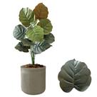 Planta Artificial Caladium Alocácia + Vaso Bojo Decoração Planta Artificial Caladium Alocácia + Vaso Bojo Decoração