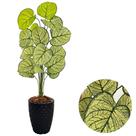 Planta Artificial Caladium Com Vaso Diamante Decoração Casa