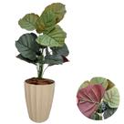 Planta Artificial Caladium Com Vaso Facetado Decoração Sala