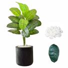 Planta Artificial Comigo Ninguém Pode + Vaso Bojo e Pedra