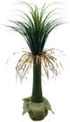 Planta Artificial Coqueiro Yucca Gloriosa Suculenta Premium