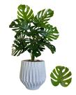 Planta Artificial Costela De Adão 18 folhas Vaso Origami Planta Artificial Costela De Adão 18 folhas Vaso Origami