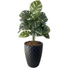 Planta Artificial Costela de Adão 24 Folhas + Vaso Completo Planta Artificial Costela de Adão 24 Folhas + Vaso Completo