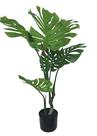 Planta Artificial COSTELA DE ADÃO 90cm de altura