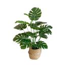 Planta Artificial Costela de Adão