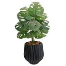 Planta Artificial Costela de Adão Folhas + Vaso Polietileno - Preto