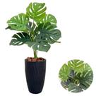 Planta Artificial Costela de Adão +Vaso Ondulado Casa Jardim
