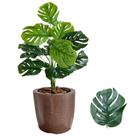 Planta Artificial Costela de Adão + Vaso Polietileno Cores