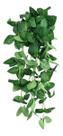 Planta Artificial Cultivo Jiboia Ornamental Exótica 9 Galhos