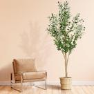 Planta Artificial de Oliveira Plantsworld 183 cm para Interior