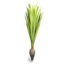 Planta Artificial Dracena Garrafa Real Toque X37 Verde 120 Cm F04 - D'rossi