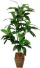 Planta Artificial Dracena Luxo 1,58cm Flores Verde