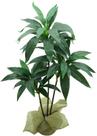 Planta Artificial Dracena Verde Premium 90cm
