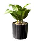 Planta Artificial em Plástico com Vasinho Decorado Preto 8cm