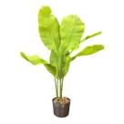 Planta Artificial Estrelicia Estilo Bananeira