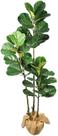Planta Artificial Fícus Lyrata 1.6m Decoração Premium