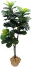 Planta Artificial Fícus Lyrata Realista 1.5m Tronco Real