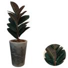 Planta Artificial Ficus Lyrata Toque Real Com Vaso Polido -