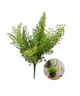 Planta Artificial Folha Avenca Premium c/ 25 folhas Buquet