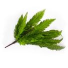 Planta Artificial Folhagem de Samambaia Pendente Verde 78 cm F04 - D'Rossi