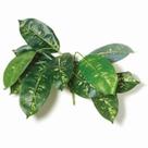 Planta Artificial Folhagem Verde - Mart