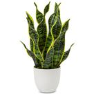 Planta Artificial Hollyone Sansevieria Trifasciata em Vaso