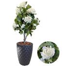 Planta Artificial Hortência Folhagem Com Vaso Completo Decor Planta Artificial Hortência Folhagem Com Vaso Completo Decor