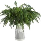 Planta artificial Jutom Norfolk Pine Branches 45 cm 80 unidades