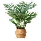 Planta artificial LOMANTO Fake Majesty Palm 60 cm com cesta Planta artificial LOMANTO Fake Majesty Palm 60 cm com cesta