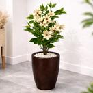 Planta Artificial Magnólia Premium com Vaso Elegante Pronta para Decorar Ambientes Planta Artificial Magnólia Premium com Vaso Elegante Pronta para Decorar Ambientes