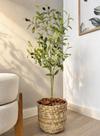 Planta Artificial Oliveira Vaso De Palha Azeitona Arranjo