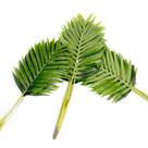 Planta Artificial Palmeira Areca Real Toque X15 Verde 114 Cm F04 - D'rossi