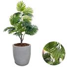 Planta Artificial Palmeira Vaso Bojo Completo Decoração Sala