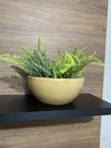 Planta Artificial Samambaia Com Vaso Bacia Decoracao Casa