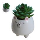Planta artificial suculenta cactos pequenas decoração casa