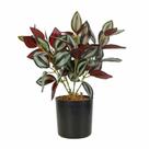 Planta Artificial Tradescantia Zebrina - Lambari Roxo