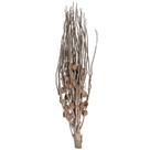 Planta artificial Vickerman Coco Jhar 81 cm Natural, pacote com 10