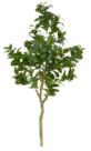 Planta Árvore Artificial Clusia Real Toque X282 Verde 1,2m Planta Árvore Artificial Clusia Real Toque X282 Verde 1,2m