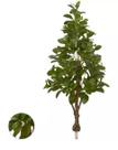 Planta Árvore Artificial Clúsia Verde Real Toque 1,30m Planta Árvore Artificial Clúsia Verde Real Toque 1,30m
