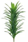 Planta Árvore Artificial Dracena Real Toque Verde 1,5m