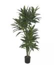 Planta Árvore Artificial Dracena Real Toque Verde Creme 1,90m
